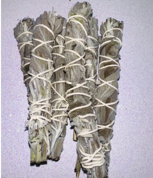 Image of white sage smudge bundles